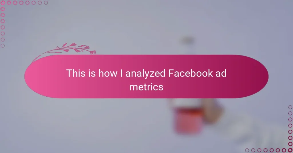 This is how I analyzed Facebook ad metrics