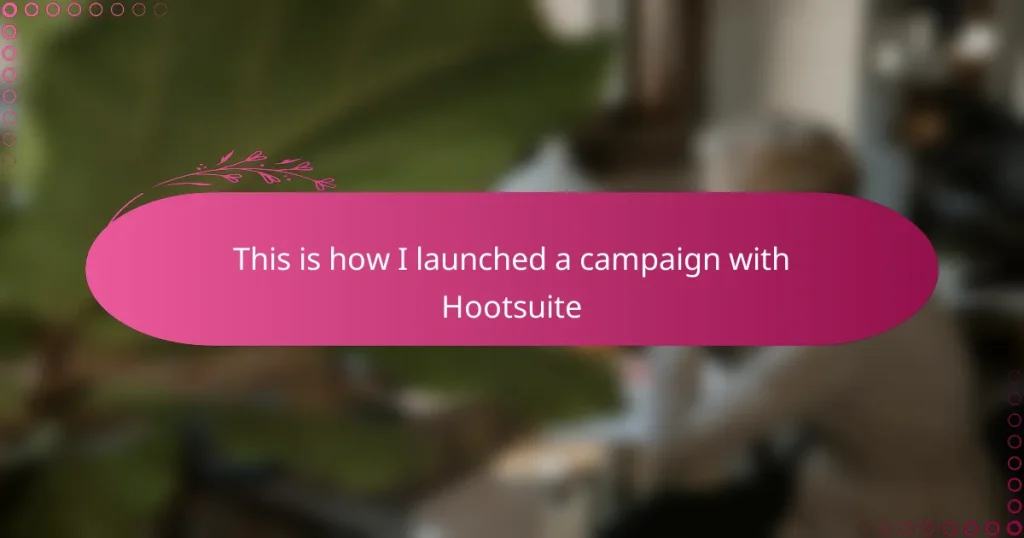 This is how I launched a campaign with Hootsuite
