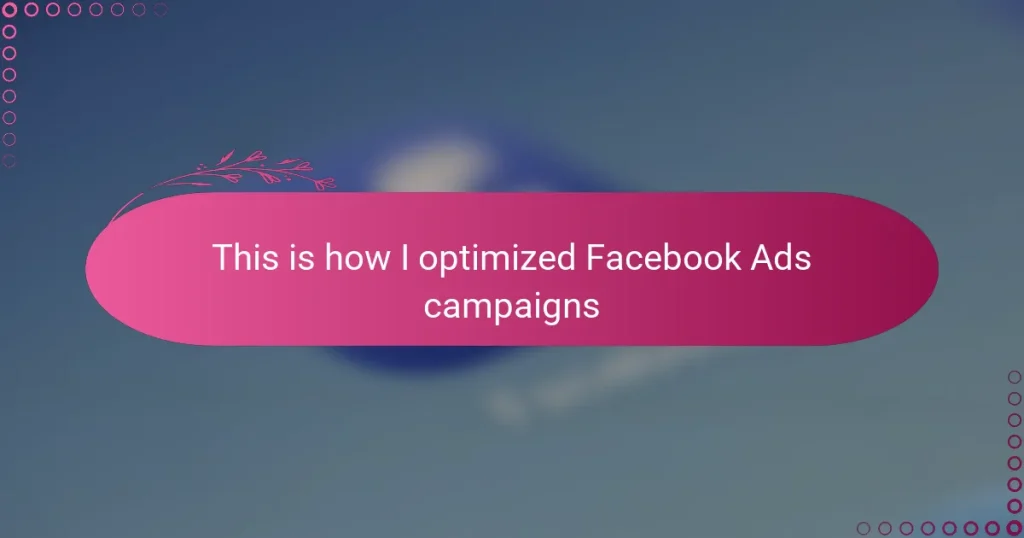 This is how I optimized Facebook Ads campaigns