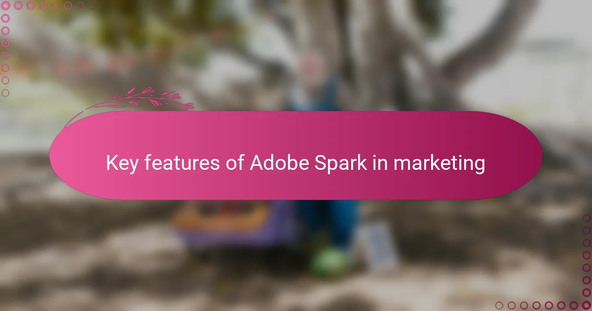 Key features of Adobe Spark in marketing