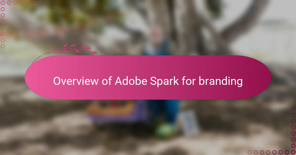 Overview of Adobe Spark for branding
