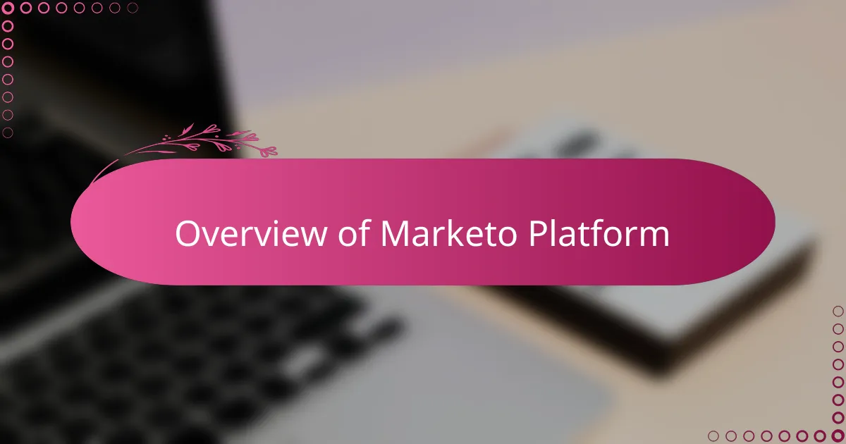 Overview of Marketo Platform