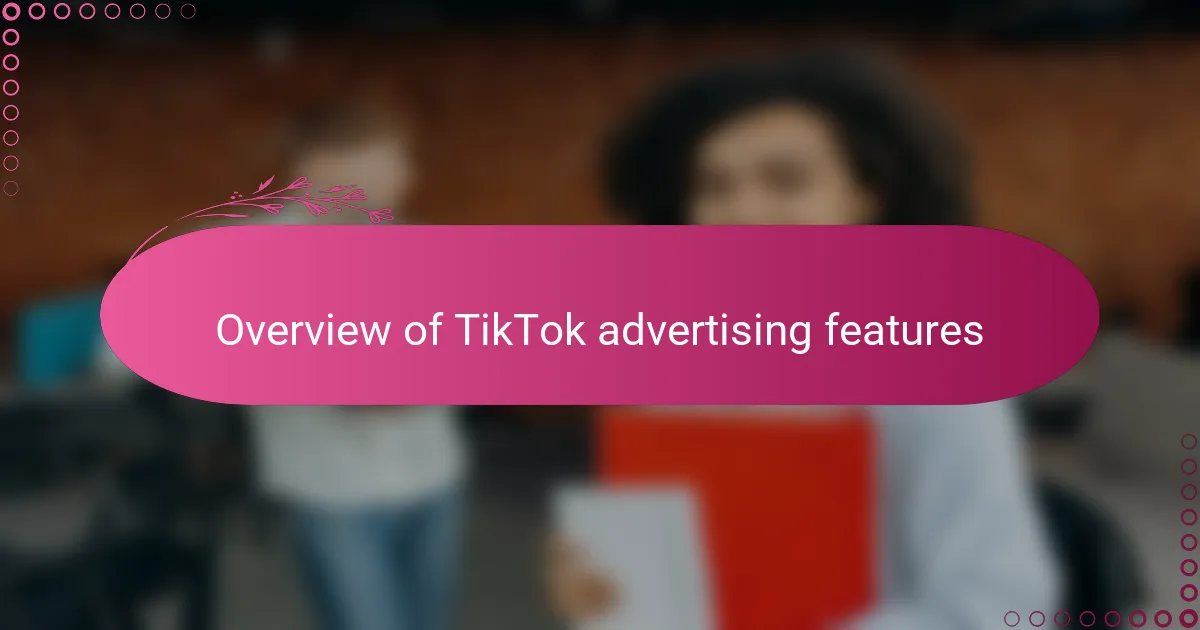 Overview of TikTok advertising features