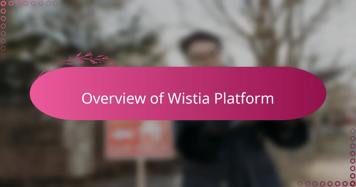 Overview of Wistia Platform