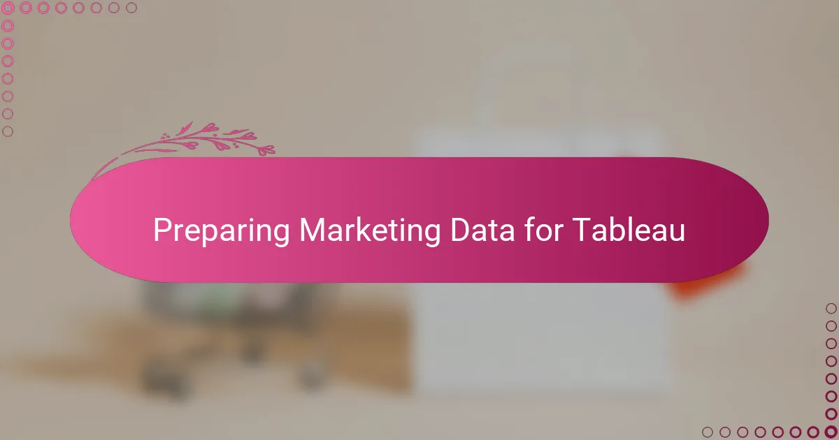 Preparing Marketing Data for Tableau