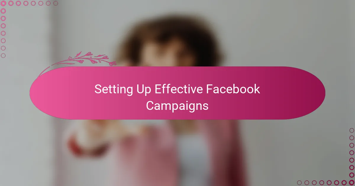 Setting Up Effective Facebook Campaigns
